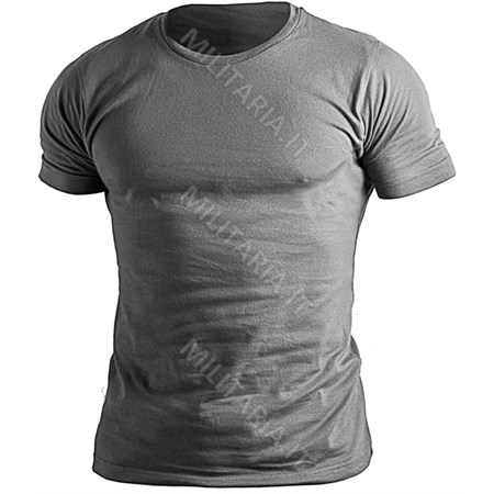 Tshirt Amerika Grigia