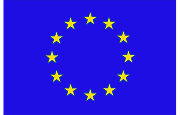  Bandiera Unione Europea 