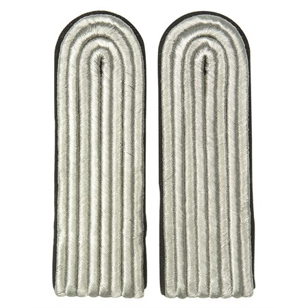 Coppia di Spalline Heer Esercito Tedesco DDR
