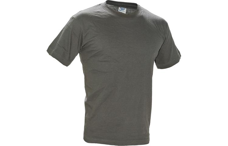  Tshirt Ipa Grey 