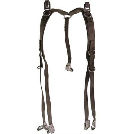 spallacci germania ovest